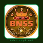 bn55 game