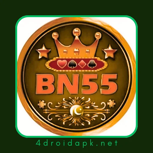 bn55 game